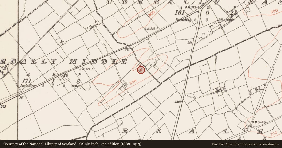 Ordnance Survey six-inch map, 2nd edition (1888–1915) covering the location of Ringfort - rath, Corbally Middle, County Roscommon, with a pin at the register's coordinates