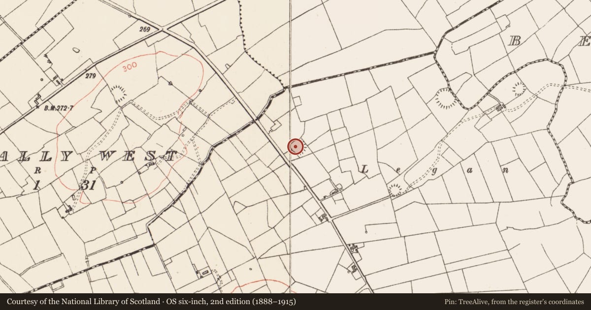 Ordnance Survey six-inch map, 2nd edition (1888–1915) covering the location of Ringfort - rath, Carrowreagh, County Roscommon, with a pin at the register's coordinates
