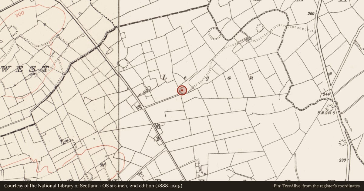 Ordnance Survey six-inch map, 2nd edition (1888–1915) covering the location of Ringfort - rath, Carrowreagh, County Roscommon, with a pin at the register's coordinates