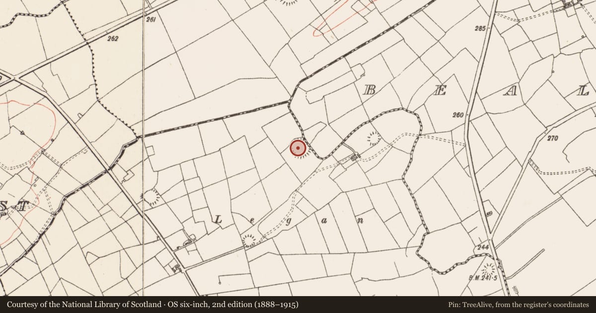 Ordnance Survey six-inch map, 2nd edition (1888–1915) covering the location of Ringfort - rath, Carrowreagh, County Roscommon, with a pin at the register's coordinates