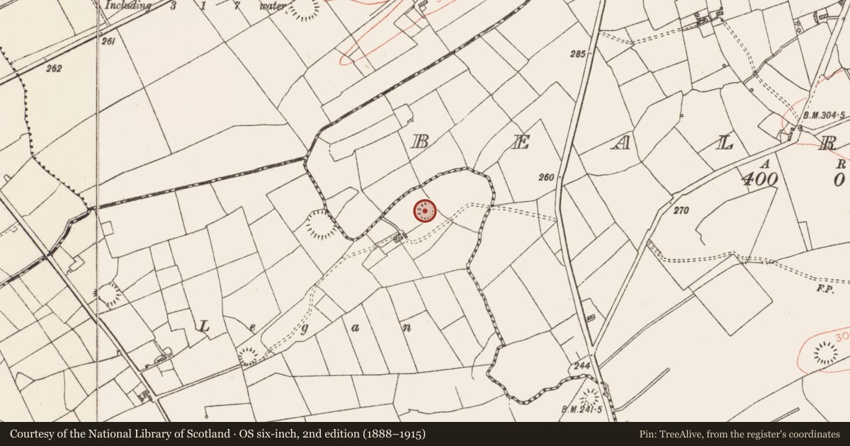 Ordnance Survey six-inch map, 2nd edition (1888–1915) covering the location of Ringfort - rath, Carrowreagh, County Roscommon, with a pin at the register's coordinates