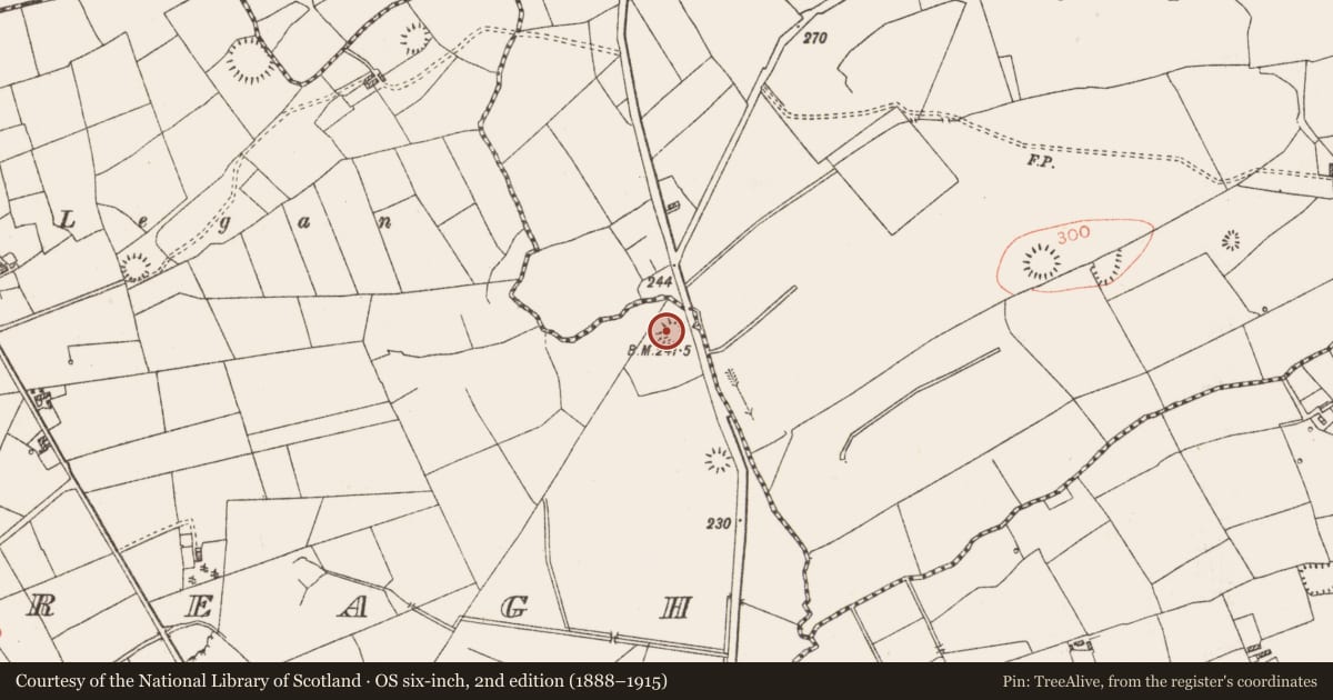Ordnance Survey six-inch map, 2nd edition (1888–1915) covering the location of Ringfort - rath, Carrowreagh, County Roscommon, with a pin at the register's coordinates