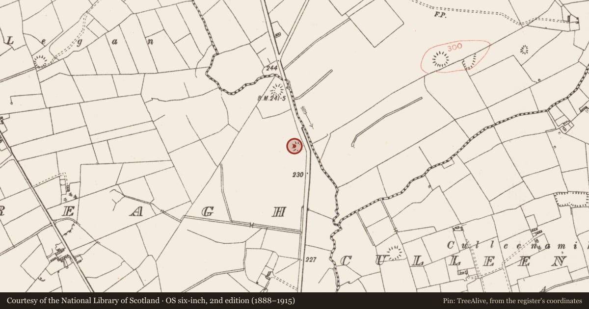 Ordnance Survey six-inch map, 2nd edition (1888–1915) covering the location of Ringfort - rath, Carrowreagh, County Roscommon, with a pin at the register's coordinates