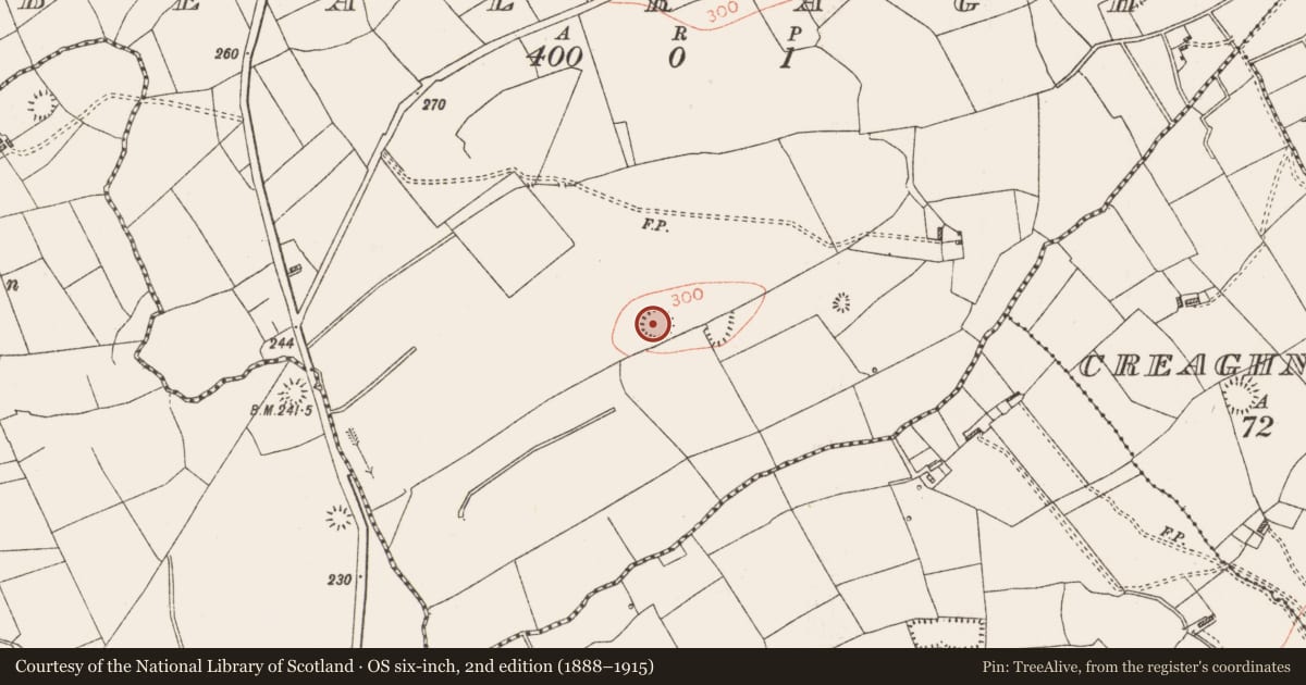 Ordnance Survey six-inch map, 2nd edition (1888–1915) covering the location of Ringfort - rath, Bealragh, County Roscommon, with a pin at the register's coordinates