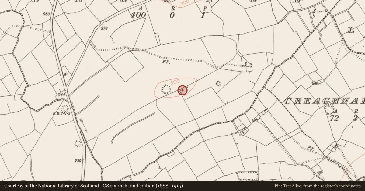 Ordnance Survey six-inch map, 2nd edition (1888–1915) covering the location of Ringfort - rath, Bealragh, County Roscommon, with a pin at the register's coordinates