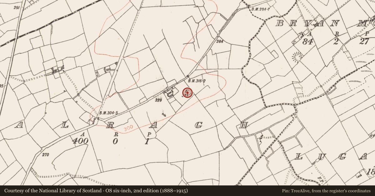 Ordnance Survey six-inch map, 2nd edition (1888–1915) covering the location of Ringfort - rath, Bealragh, County Roscommon, with a pin at the register's coordinates