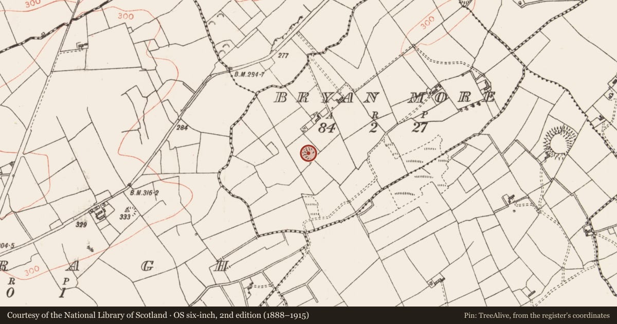 Ordnance Survey six-inch map, 2nd edition (1888–1915) covering the location of Ringfort - rath, Bryan More, County Roscommon, with a pin at the register's coordinates