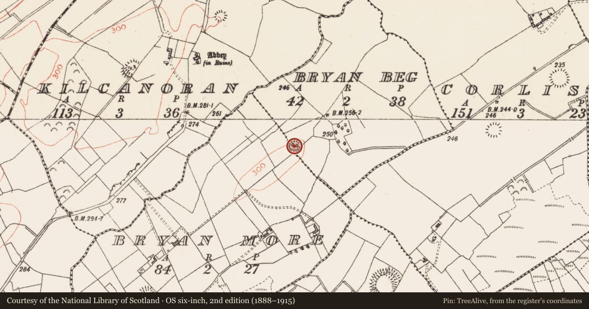Ordnance Survey six-inch map, 2nd edition (1888–1915) covering the location of Ringfort - rath, Bryan Beg, County Roscommon, with a pin at the register's coordinates