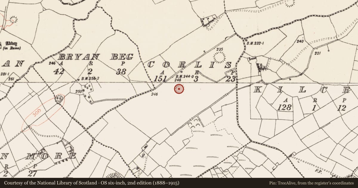 Ordnance Survey six-inch map, 2nd edition (1888–1915) covering the location of Ringfort - rath, Corlis, County Roscommon, with a pin at the register's coordinates