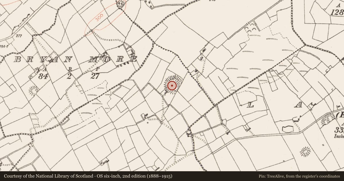 Ordnance Survey six-inch map, 2nd edition (1888–1915) covering the location of Ringfort - rath, Lugateane, County Roscommon, with a pin at the register's coordinates