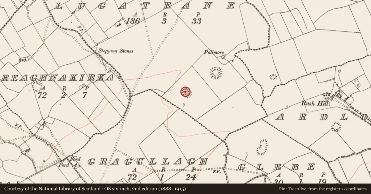 Ordnance Survey six-inch map, 2nd edition (1888–1915) covering the location of Ringfort - rath, Lugateane, County Roscommon, with a pin at the register's coordinates