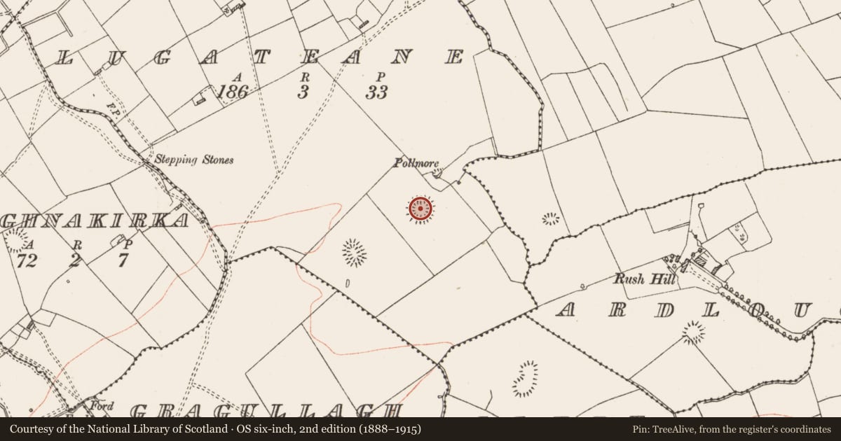 Ordnance Survey six-inch map, 2nd edition (1888–1915) covering the location of Ringfort - rath, Lugateane, County Roscommon, with a pin at the register's coordinates