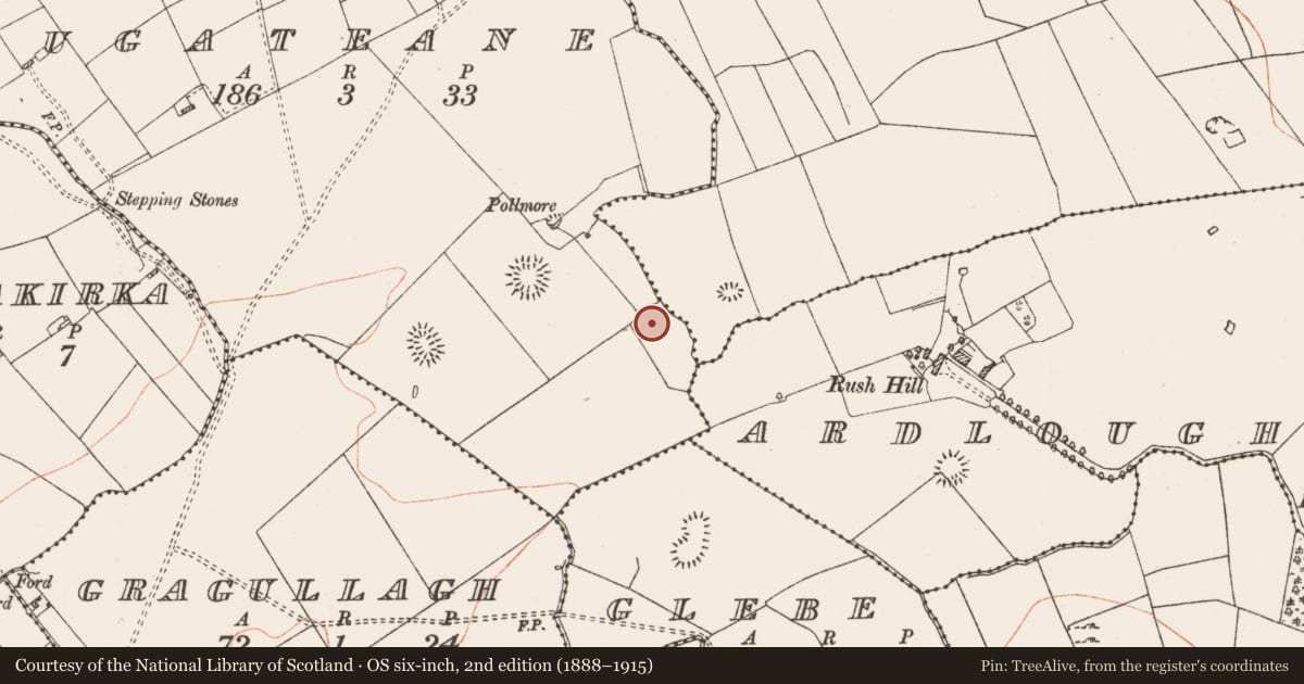 Ordnance Survey six-inch map, 2nd edition (1888–1915) covering the location of Ringfort - rath, Lugateane, County Roscommon, with a pin at the register's coordinates
