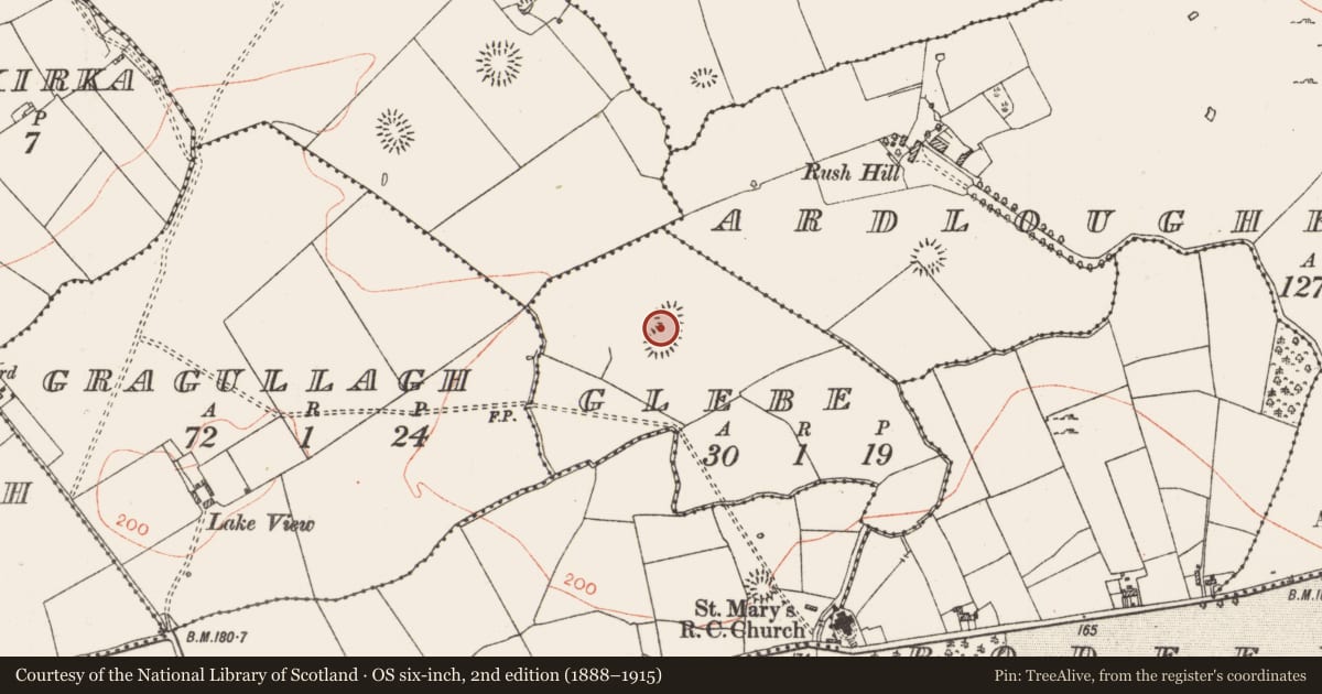 Ordnance Survey six-inch map, 2nd edition (1888–1915) covering the location of Enclosure, Glebe, County Roscommon, with a pin at the register's coordinates