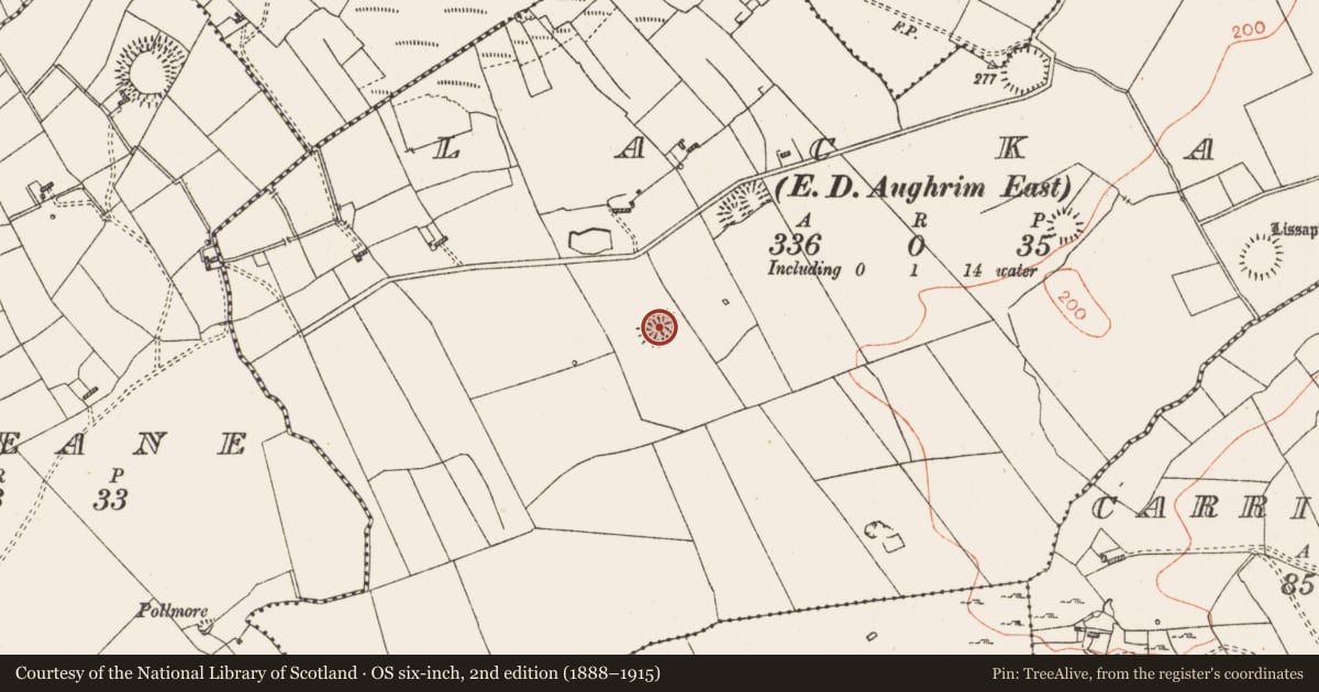 Ordnance Survey six-inch map, 2nd edition (1888–1915) covering the location of Ringfort - rath, Lackan, County Roscommon, with a pin at the register's coordinates