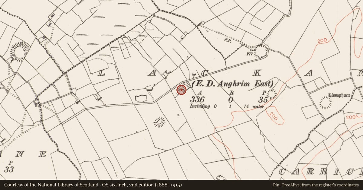 Ordnance Survey six-inch map, 2nd edition (1888–1915) covering the location of Earthwork, Lackan, County Roscommon, with a pin at the register's coordinates