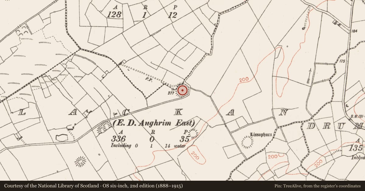 Ordnance Survey six-inch map, 2nd edition (1888–1915) covering the location of Ringfort - rath, Lackan, County Roscommon, with a pin at the register's coordinates