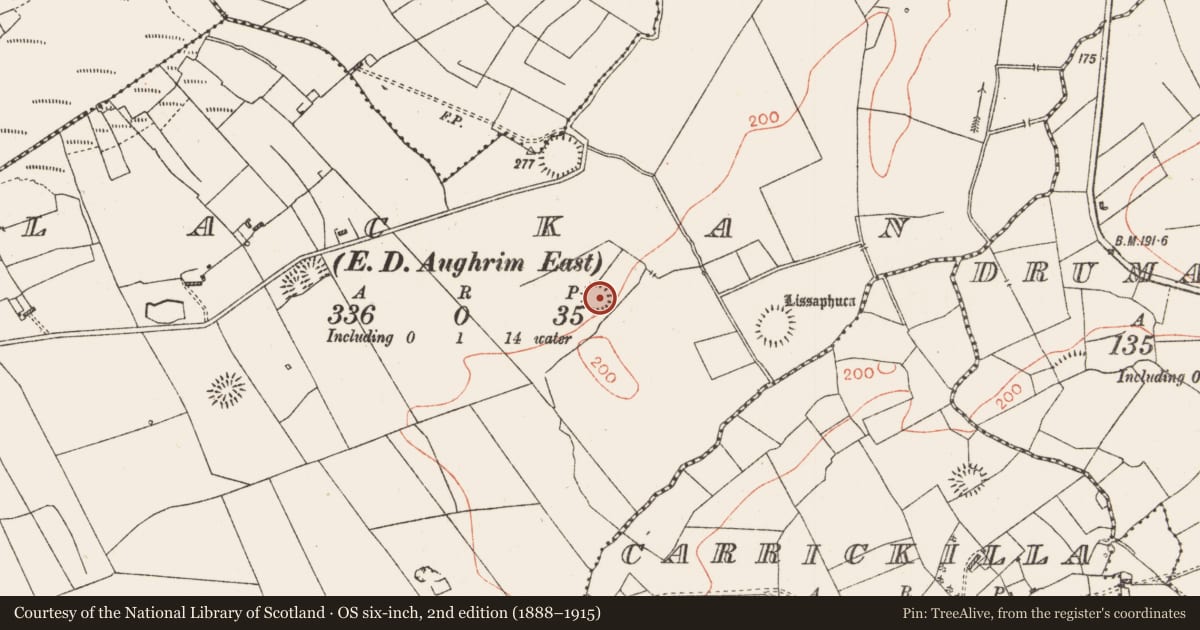 Ordnance Survey six-inch map, 2nd edition (1888–1915) covering the location of Ringfort - rath, Lackan, County Roscommon, with a pin at the register's coordinates