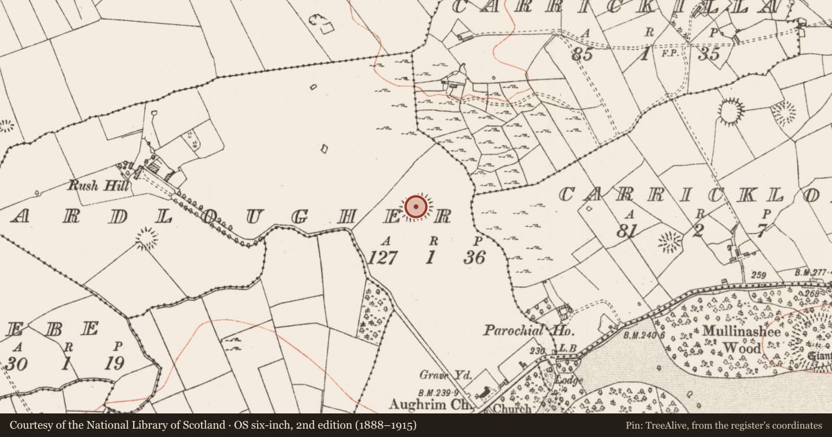 Ordnance Survey six-inch map, 2nd edition (1888–1915) covering the location of Ringfort - rath, Ardlougher, County Roscommon, with a pin at the register's coordinates
