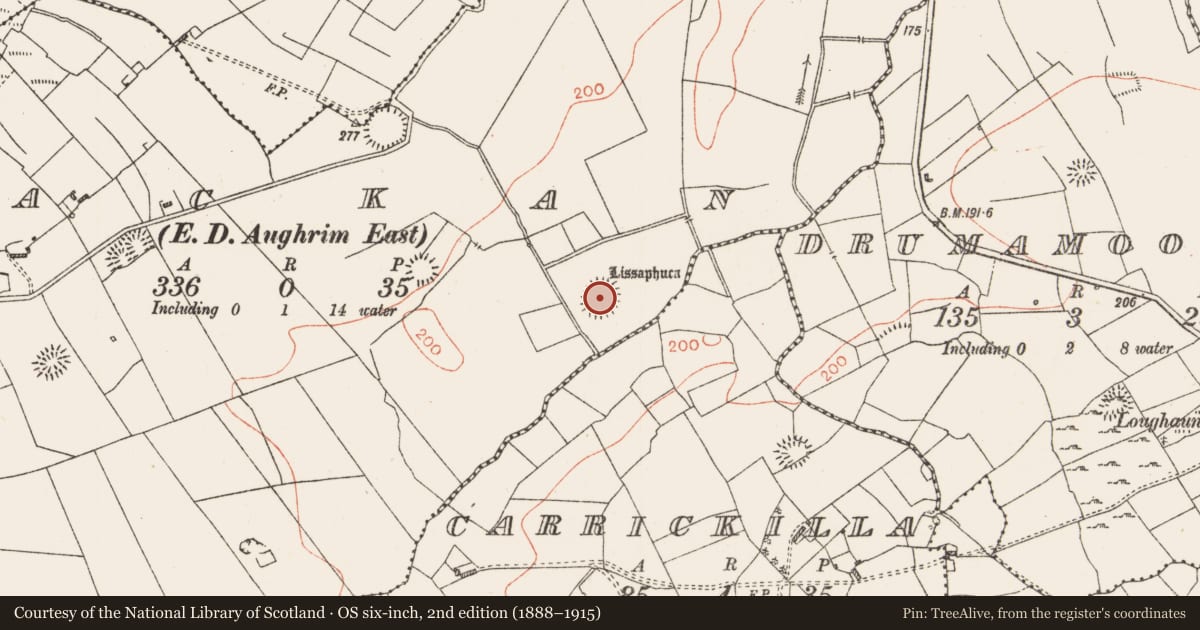Ordnance Survey six-inch map, 2nd edition (1888–1915) covering the location of Ringfort - rath, Lackan, County Roscommon, with a pin at the register's coordinates