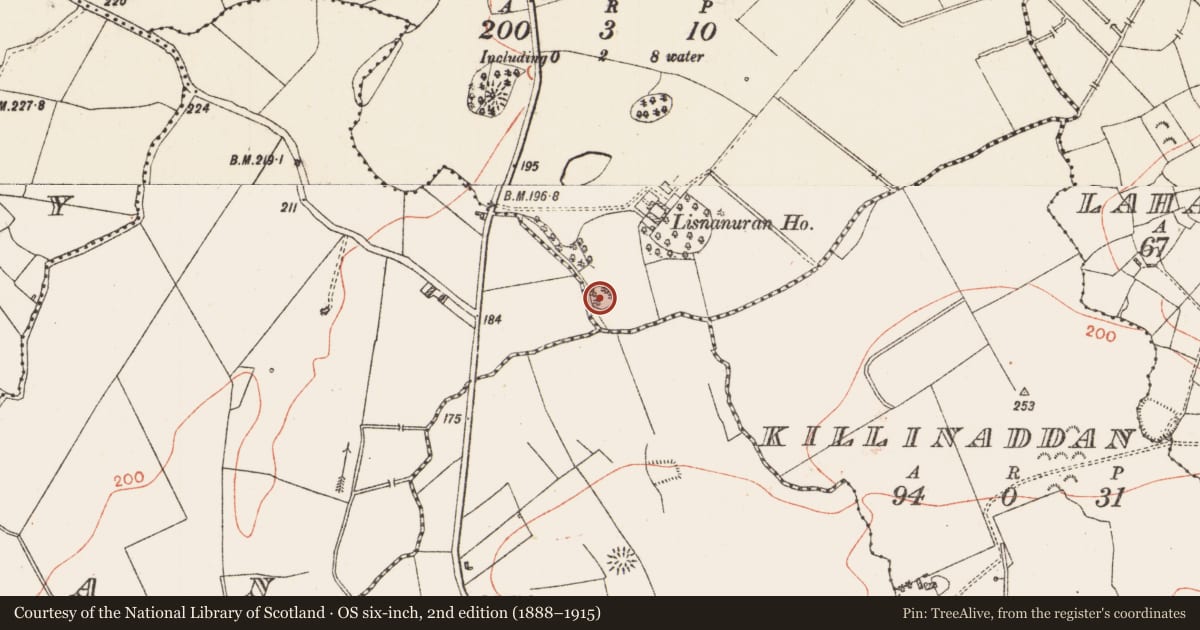 Ordnance Survey six-inch map, 2nd edition (1888–1915) covering the location of Designed landscape - tree-ring, Lisnanuran, County Roscommon, with a pin at the register's coordinates