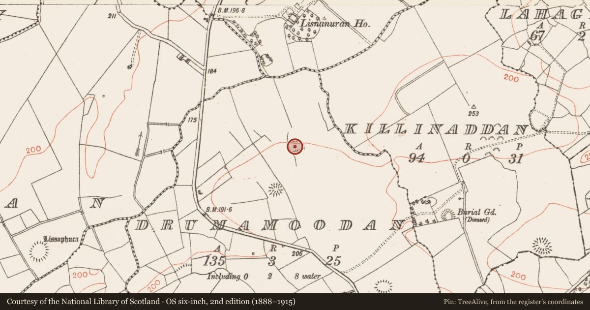 Ordnance Survey six-inch map, 2nd edition (1888–1915) covering the location of Earthwork, Drumamoodan, County Roscommon, with a pin at the register's coordinates
