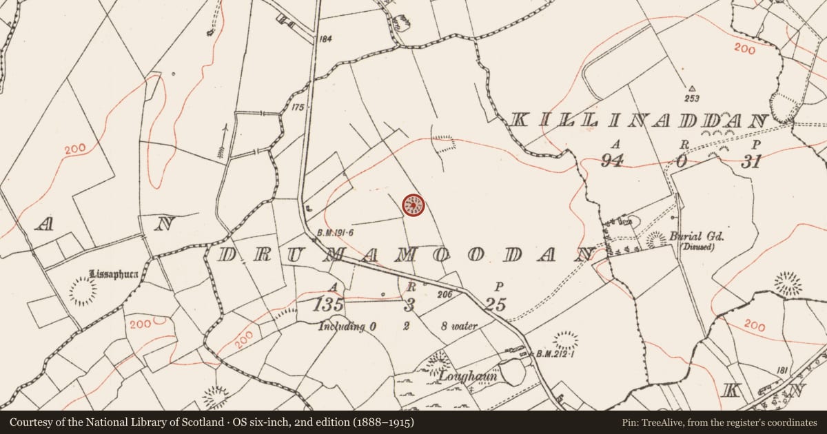 Ordnance Survey six-inch map, 2nd edition (1888–1915) covering the location of Ringfort - rath, Drumamoodan, County Roscommon, with a pin at the register's coordinates