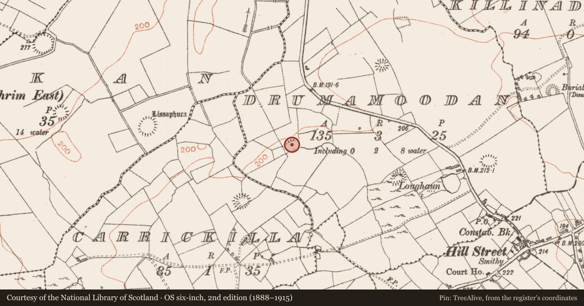 Ordnance Survey six-inch map, 2nd edition (1888–1915) covering the location of Ringfort - rath, Drumamoodan, County Roscommon, with a pin at the register's coordinates