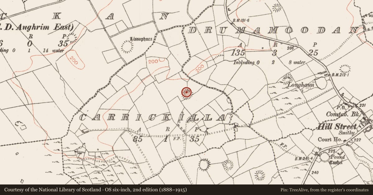 Ordnance Survey six-inch map, 2nd edition (1888–1915) covering the location of House - indeterminate date, Carrickilla, County Roscommon, with a pin at the register's coordinates