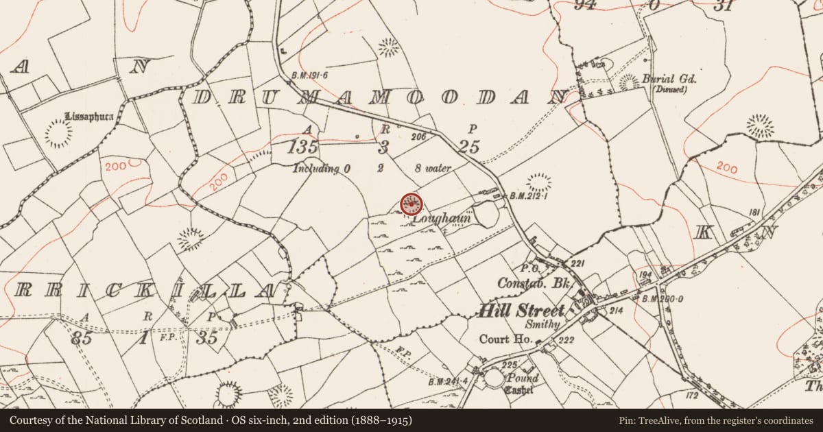 Ordnance Survey six-inch map, 2nd edition (1888–1915) covering the location of Enclosure, Drumamoodan, County Roscommon, with a pin at the register's coordinates