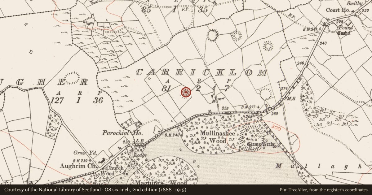 Ordnance Survey six-inch map, 2nd edition (1888–1915) covering the location of Earthwork, Carricklom, County Roscommon, with a pin at the register's coordinates