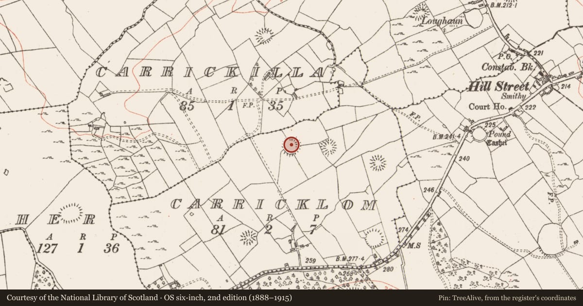 Ordnance Survey six-inch map, 2nd edition (1888–1915) covering the location of Ringfort - rath, Carricklom, County Roscommon, with a pin at the register's coordinates