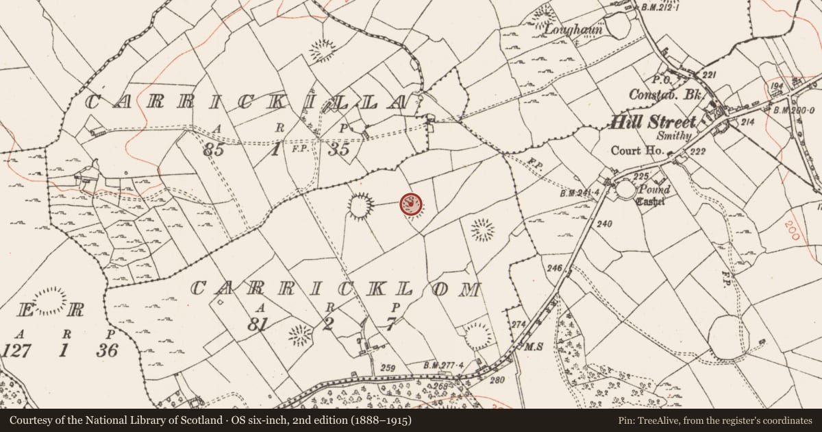 Ordnance Survey six-inch map, 2nd edition (1888–1915) covering the location of Ringfort - rath, Carricklom, County Roscommon, with a pin at the register's coordinates