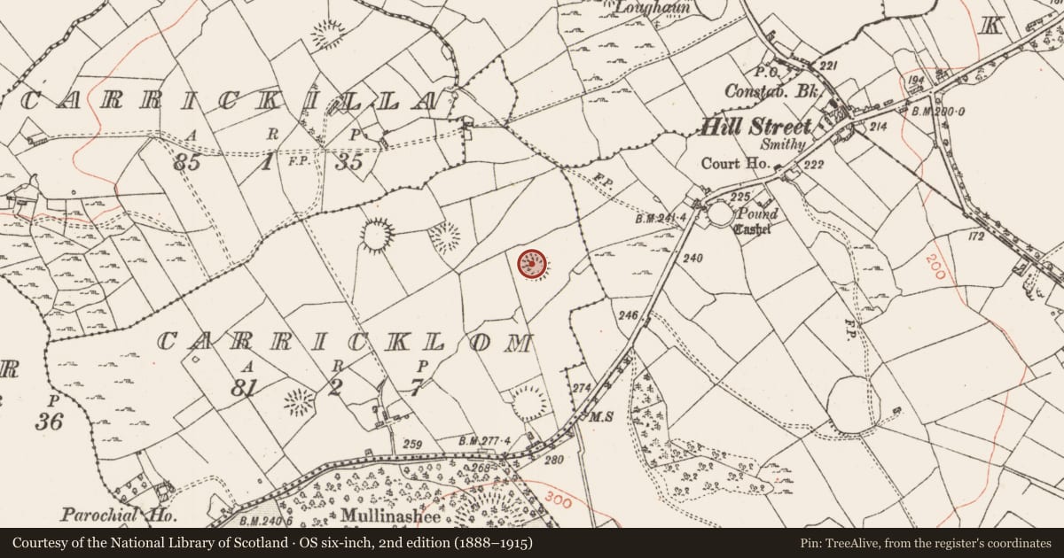 Ordnance Survey six-inch map, 2nd edition (1888–1915) covering the location of Ringfort - rath, Carricklom, County Roscommon, with a pin at the register's coordinates