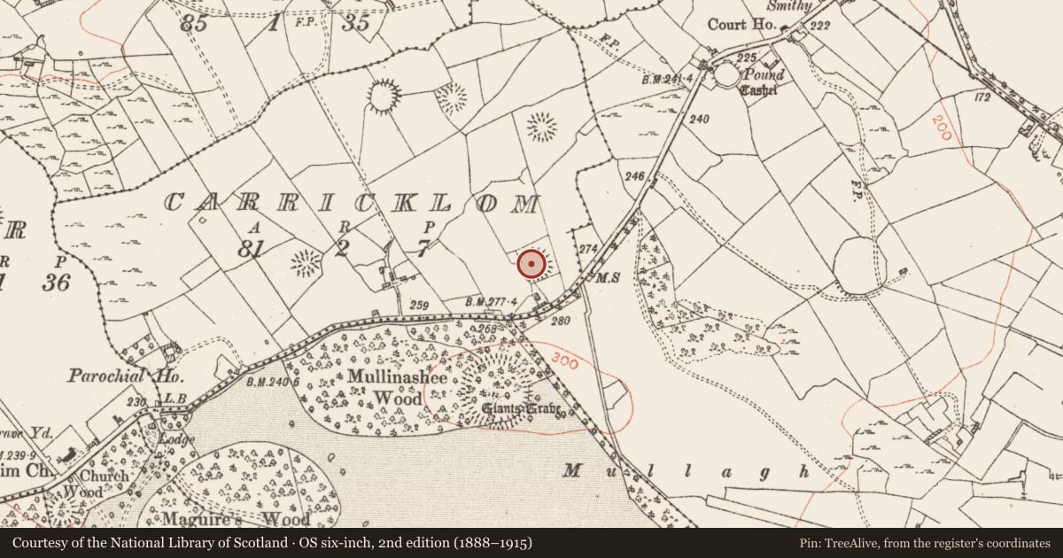 Ordnance Survey six-inch map, 2nd edition (1888–1915) covering the location of Ringfort - rath, Carricklom, County Roscommon, with a pin at the register's coordinates