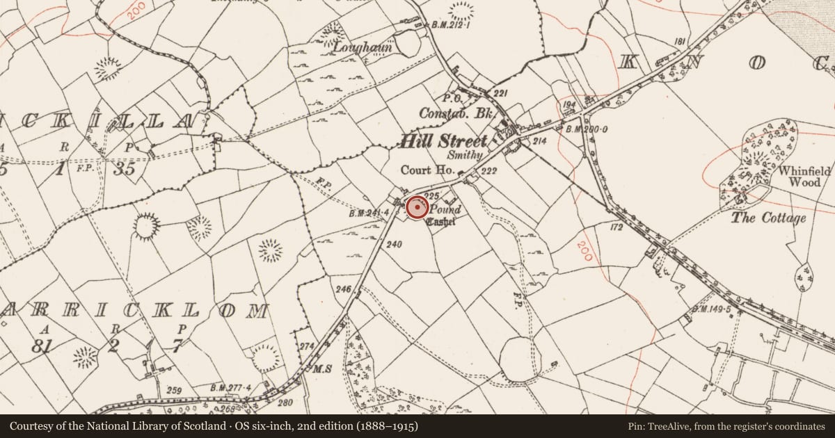 Ordnance Survey six-inch map, 2nd edition (1888–1915) covering the location of Ringfort - cashel, Toomore, County Roscommon, with a pin at the register's coordinates