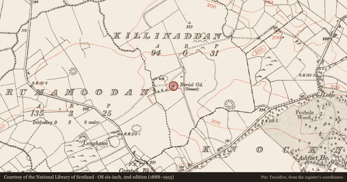 Ordnance Survey six-inch map, 2nd edition (1888–1915) covering the location of Ringfort - cashel, Killinaddan, County Roscommon, with a pin at the register's coordinates