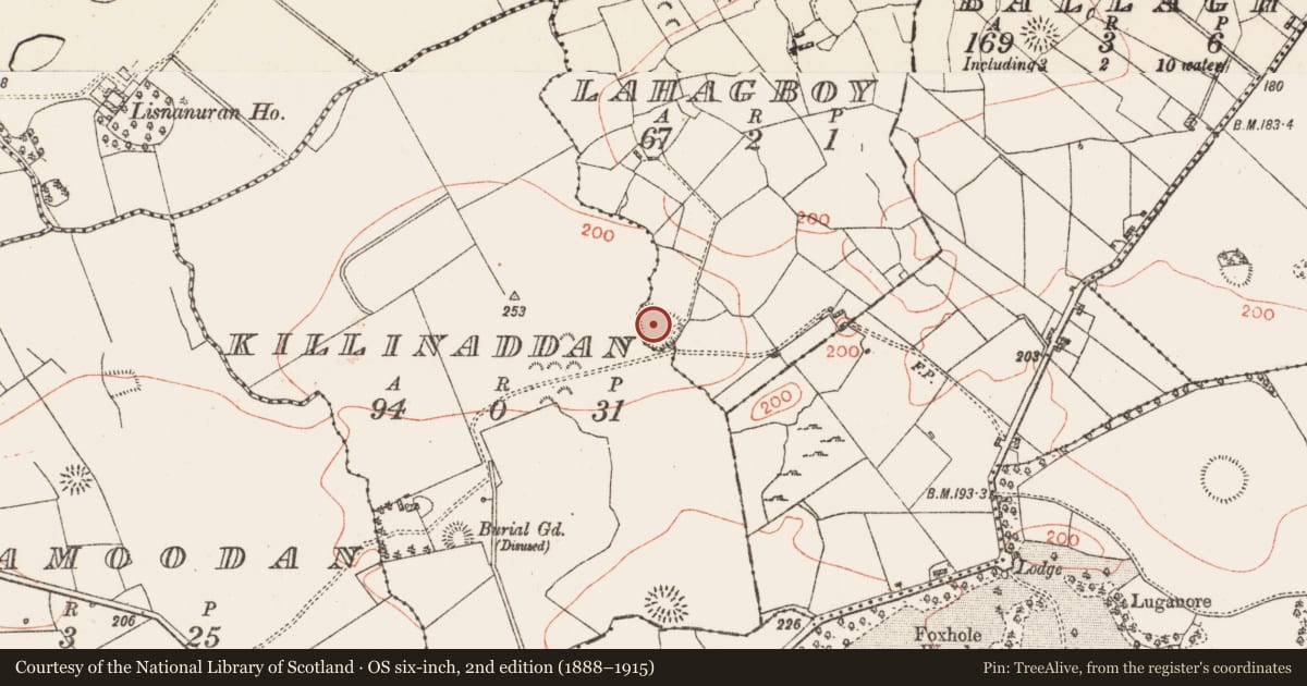 Ordnance Survey six-inch map, 2nd edition (1888–1915) covering the location of Ringfort - rath, Lahagboy, Killinaddan, County Roscommon, with a pin at the register's coordinates