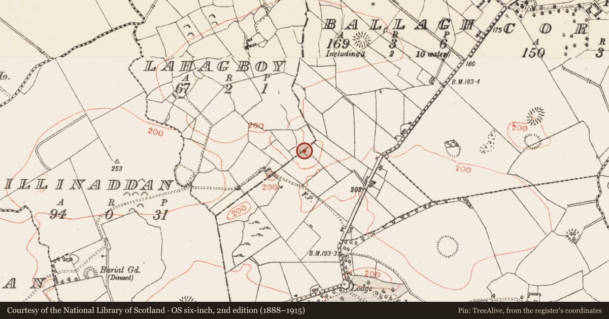 Ordnance Survey six-inch map, 2nd edition (1888–1915) covering the location of Ringfort - cashel, Ballagh, County Roscommon, with a pin at the register's coordinates