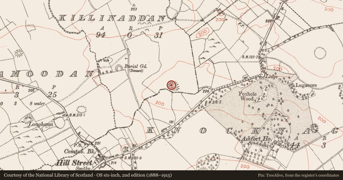 Ordnance Survey six-inch map, 2nd edition (1888–1915) covering the location of Ringfort - rath, Killinaddan, County Roscommon, with a pin at the register's coordinates
