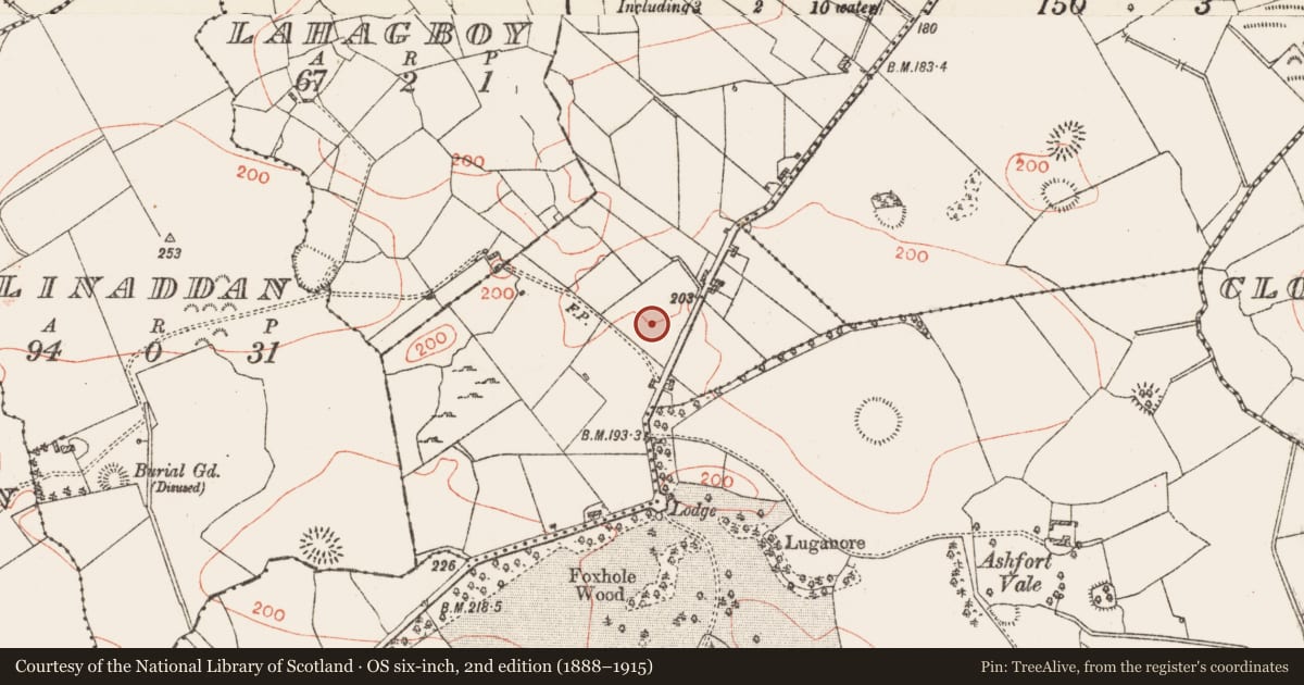 Ordnance Survey six-inch map, 2nd edition (1888–1915) covering the location of Kiln - corn-drying, Ballagh, County Roscommon, with a pin at the register's coordinates