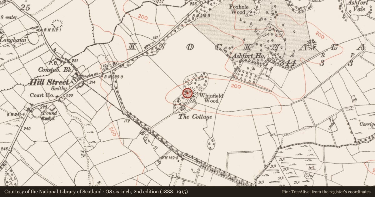 Ordnance Survey six-inch map, 2nd edition (1888–1915) covering the location of Ringfort - rath, Knocknagawna, County Roscommon, with a pin at the register's coordinates