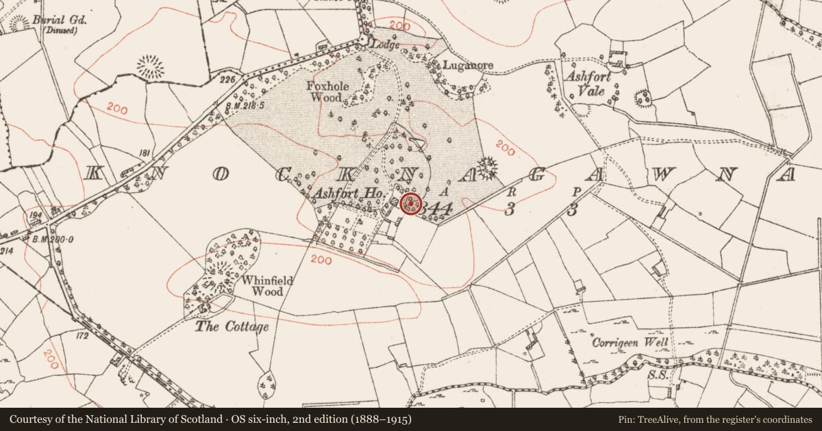 Ordnance Survey six-inch map, 2nd edition (1888–1915) covering the location of Ringfort - rath, Knocknagawna, County Roscommon, with a pin at the register's coordinates
