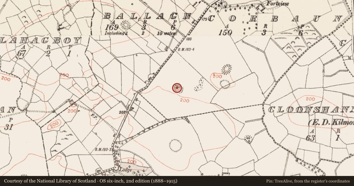 Ordnance Survey six-inch map, 2nd edition (1888–1915) covering the location of Designed landscape - tree-ring, Corbaun, County Roscommon, with a pin at the register's coordinates