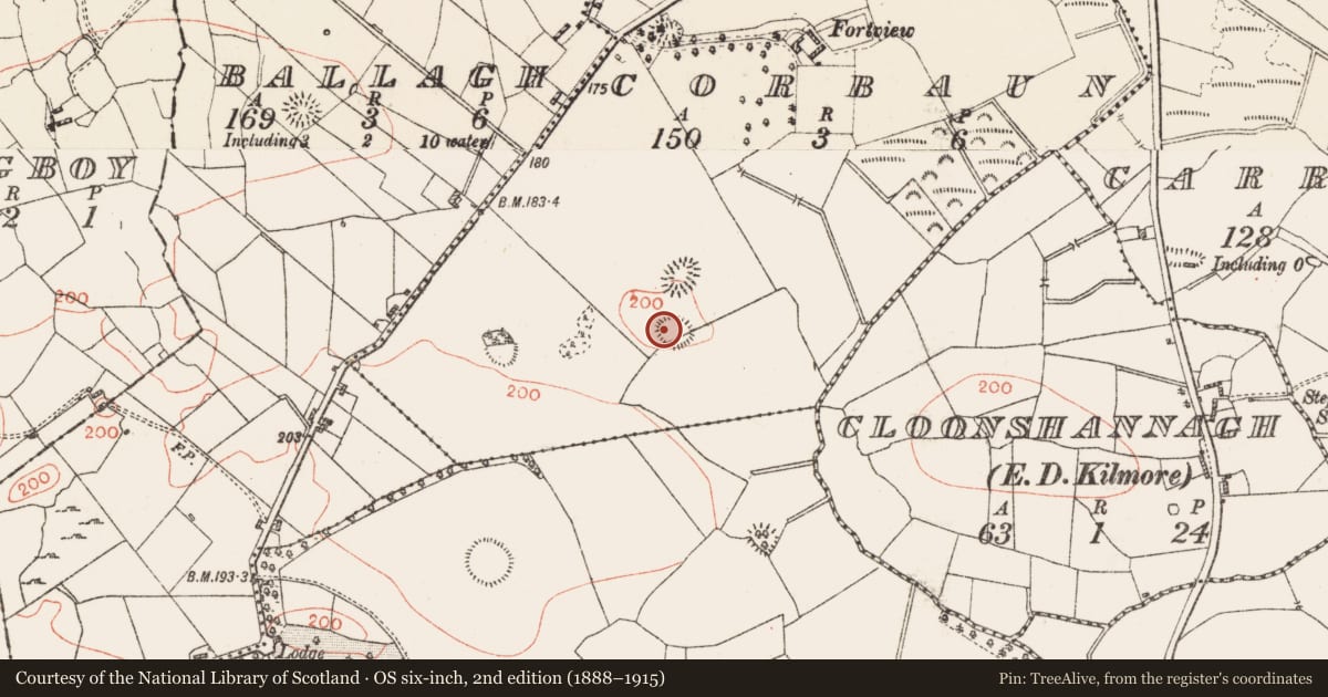 Ordnance Survey six-inch map, 2nd edition (1888–1915) covering the location of Ringfort - rath, Corbaun, County Roscommon, with a pin at the register's coordinates
