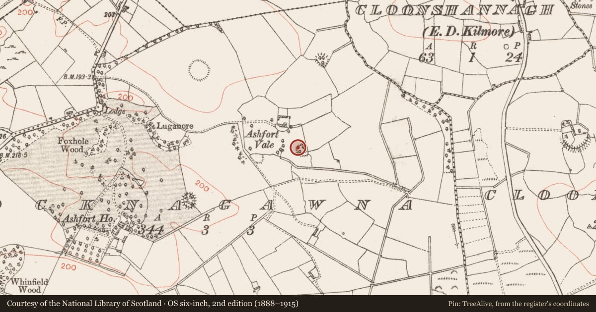 Ordnance Survey six-inch map, 2nd edition (1888–1915) covering the location of Ringfort - rath, Knocknagawna, County Roscommon, with a pin at the register's coordinates