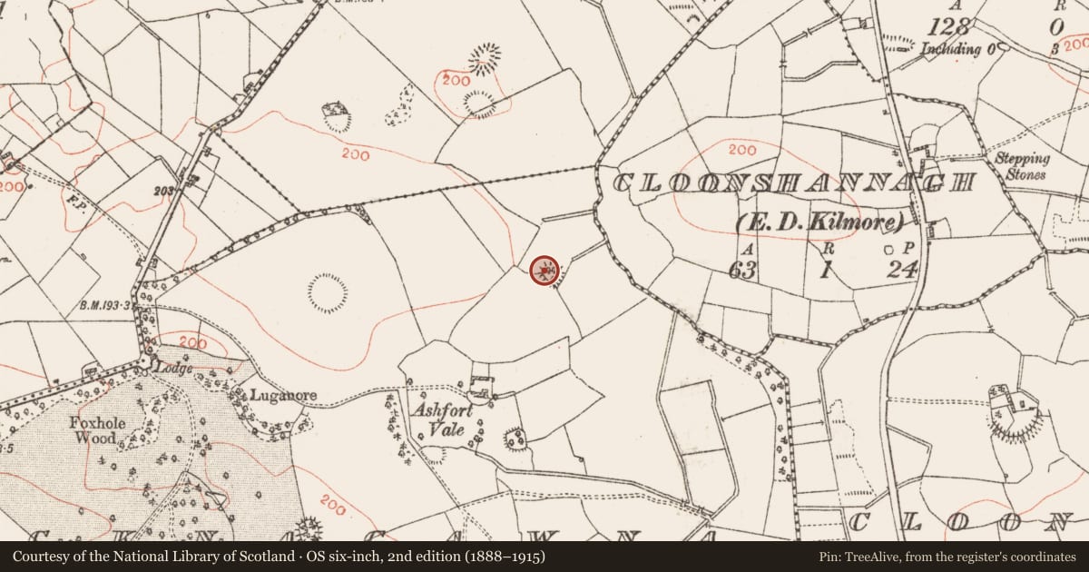 Ordnance Survey six-inch map, 2nd edition (1888–1915) covering the location of Ringfort - rath, Knocknagawna, County Roscommon, with a pin at the register's coordinates