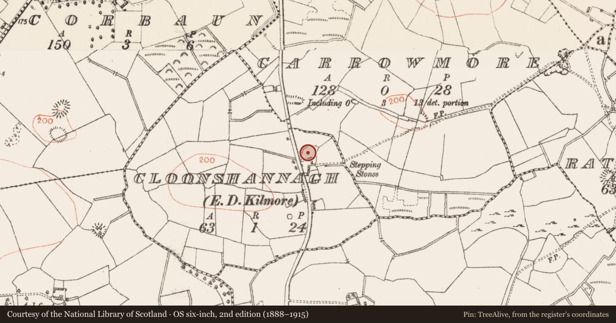 Ordnance Survey six-inch map, 2nd edition (1888–1915) covering the location of Ringfort - rath, Cloonshannagh, County Roscommon, with a pin at the register's coordinates