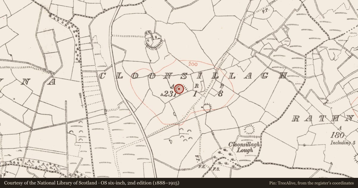 Ordnance Survey six-inch map, 2nd edition (1888–1915) covering the location of Ringfort - rath, Cloonsillagh, County Roscommon, with a pin at the register's coordinates