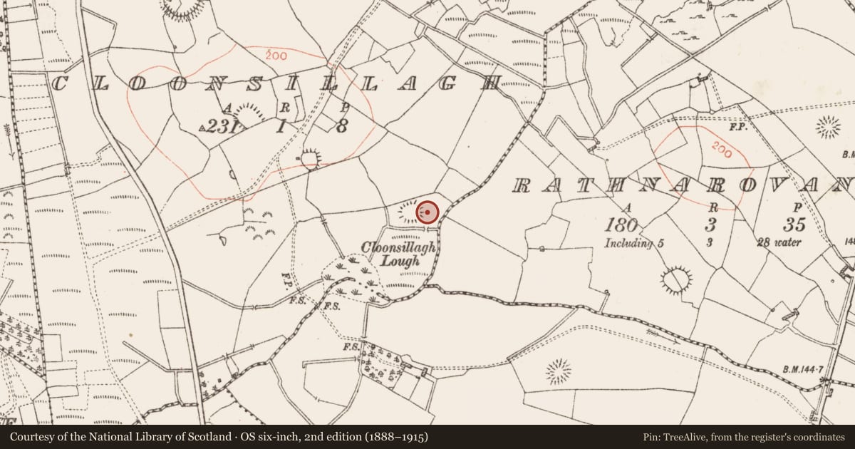 Ordnance Survey six-inch map, 2nd edition (1888–1915) covering the location of Hut site, Cloonsillagh, County Roscommon, with a pin at the register's coordinates